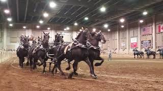 Eight Horse Horse Hitch, Michigan Great Lakes International Draft Horse Show, 2023