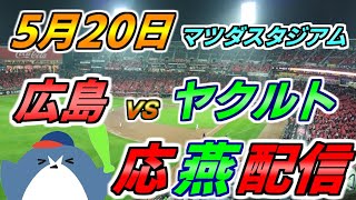 リーグ戦【広島カープ × ヤクルトスワローズ】2025.5.20 応燕配信  @ マツダスタジアム