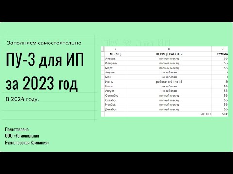 Правильно заполняем пошагово форму ПУ-3 для ИП в 2024 году