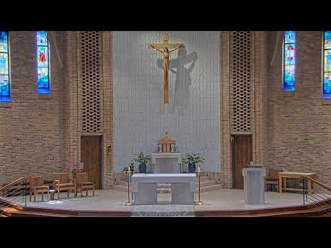 Sunday Mass - 11 AM - 08/10/2025