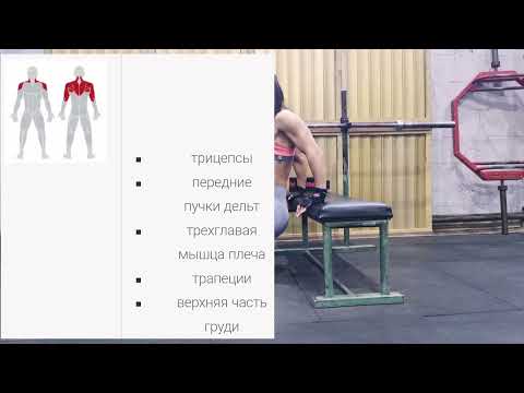 Обратные отжимания