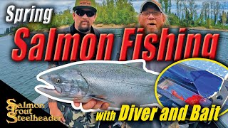 Spring Salmon Fishing with Diver and Bait