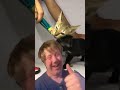 #cute #pets #cat #catfunny #kitten #anmals #catvideos #funnycatvideos #cutepet