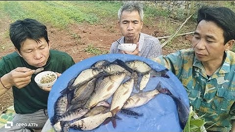 BA ANH EM CÙNG CHIẾN CÁ NHẢY QUÁ PHÊ