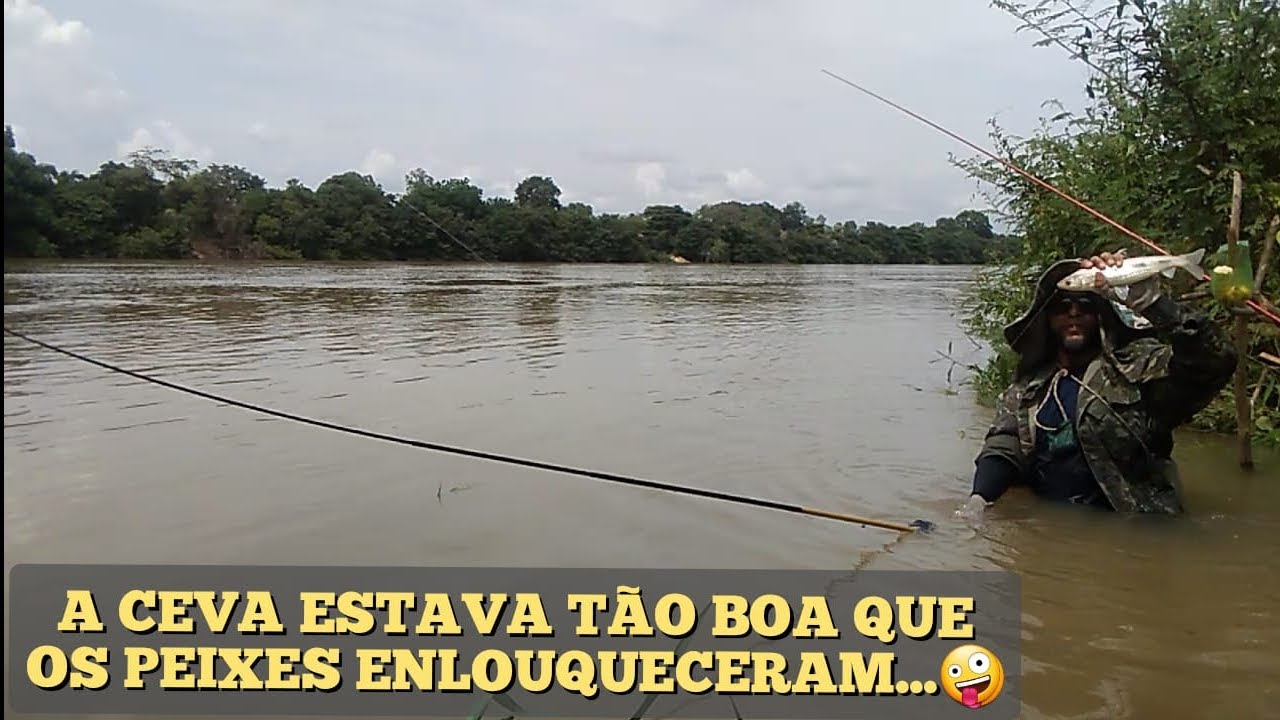 Quando a ceva dá resultado e os peixes não param. Pescaria de ceva.