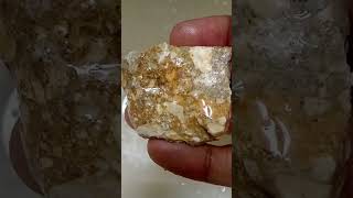 Strange San Antonio Texas Rock #nature #texas #youtubeshorts #youtube #rocks