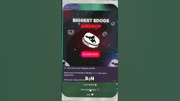 DOGS AIRDROP - @TeleDogsAirdrop_bot | #dogsairdrop #hamsterkombat #telegram #dogstelegramairdrop