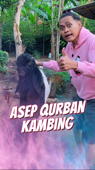 Kurban Kambing Idul Adha 🐐
