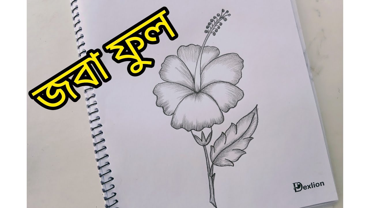 জবা ফুল || Jaoba ful Drawing || How to draw joba || #flower - YouTube