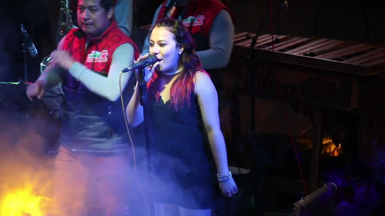 Mix Selena Amor Prohibido Como la Flor Marimba Orquesta Nicho y