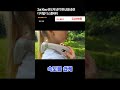 Zai Xiao 반도체 냉각 팬 USB 충전 디지털 디스플레이
