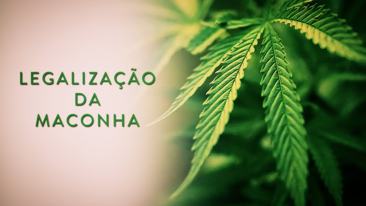 Citação De Citação Exemplo Tema Legalização E Descriminalização Da Maconha
