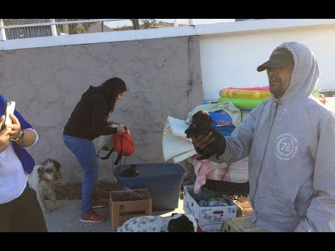 Desalojan a indigente que se alojaba debajo de puente peatonal