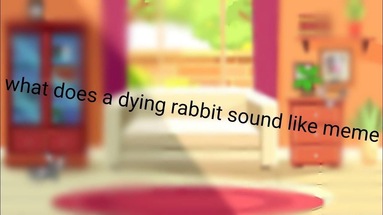 What Does A Dying Rabbit Sound Like what does a dying rabbit sound like meme (GachaClub) - YouTube