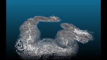 모빌테크MobilTech - Real-Time 3D Scanning of Forest in Jeju Island