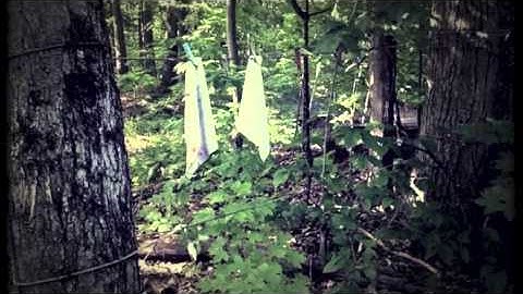 Rose Cousins - For The Best - OFFICIAL VIDEO