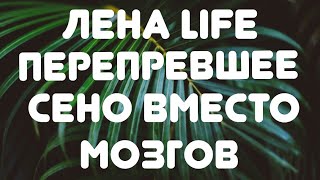 Лена Life //Перепревшее сено вместо мозгов// Обзор видео//