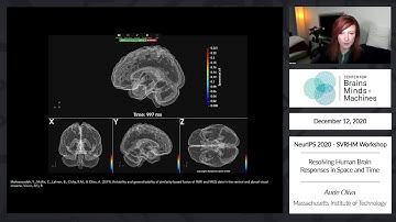 Resolving Human Brain Responses in Space and Time