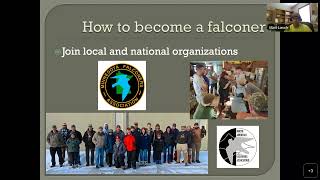 121 The art of falconry 20230719