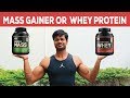 MASS GAINER OR WHEY PROTEIN ? WHICH ONE SHOULD YOU BUY FOR MUSCLE BUILDING ?