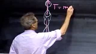 Classical Mechanics, Force and Motion, Mass and Weight, Concept of Freefall
