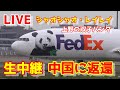 🔴LIVE at NARITA International Airport Plane Spotting 20256.01.27 成田空港ライブカメラ 成田空港 NRT/RJAA
