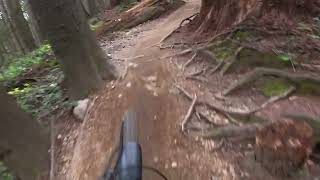Lower Digger | Fast Flow Classic – Mount Fromme