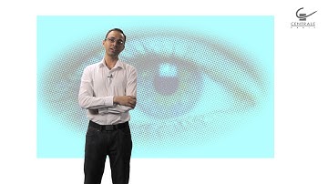 Discrete Inference and Learning in Artificial Vision by Nikos Paragios and Pawan Kumar