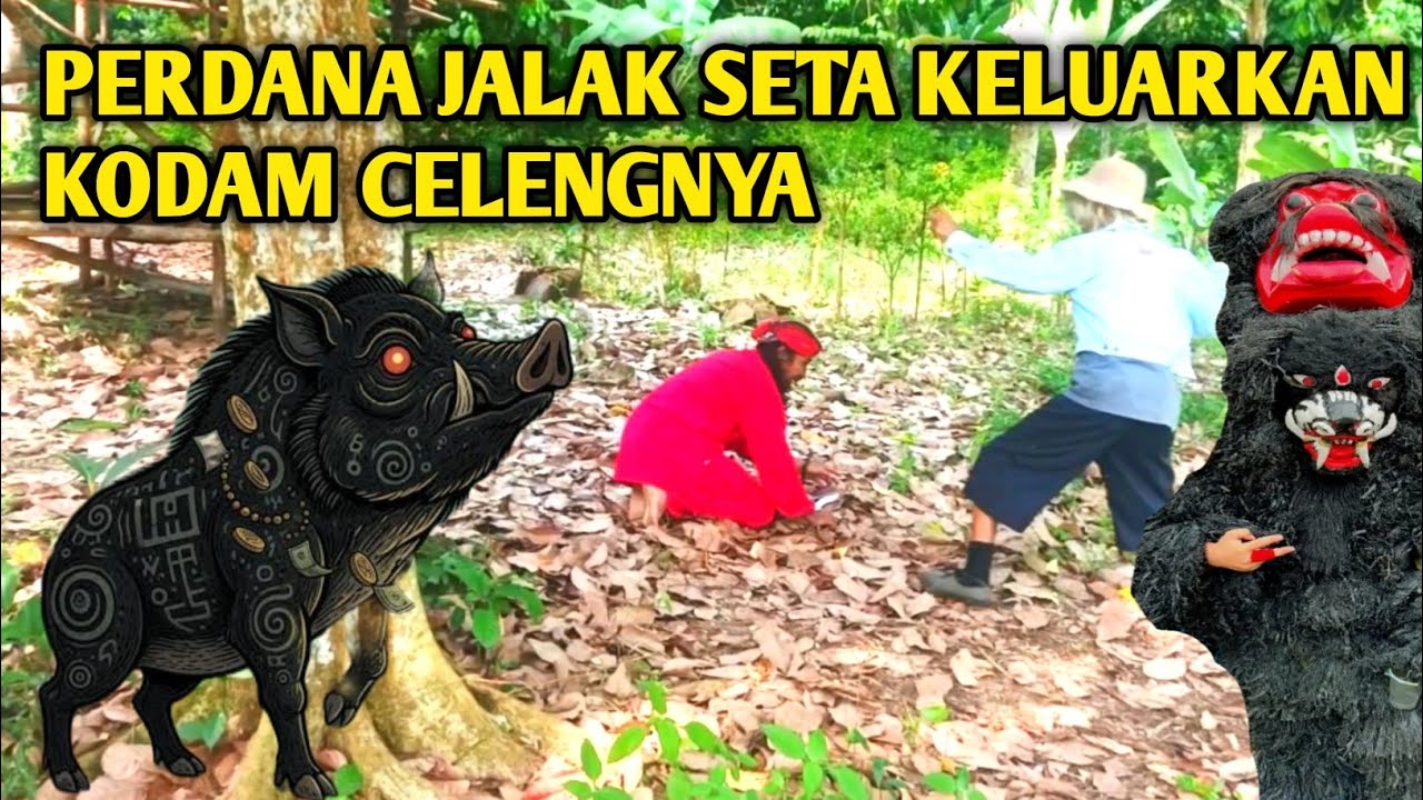 JALAK SETA HABIS KESABARAN HAJ4R KI UYUT YANG SUDAH MERACUNINYA