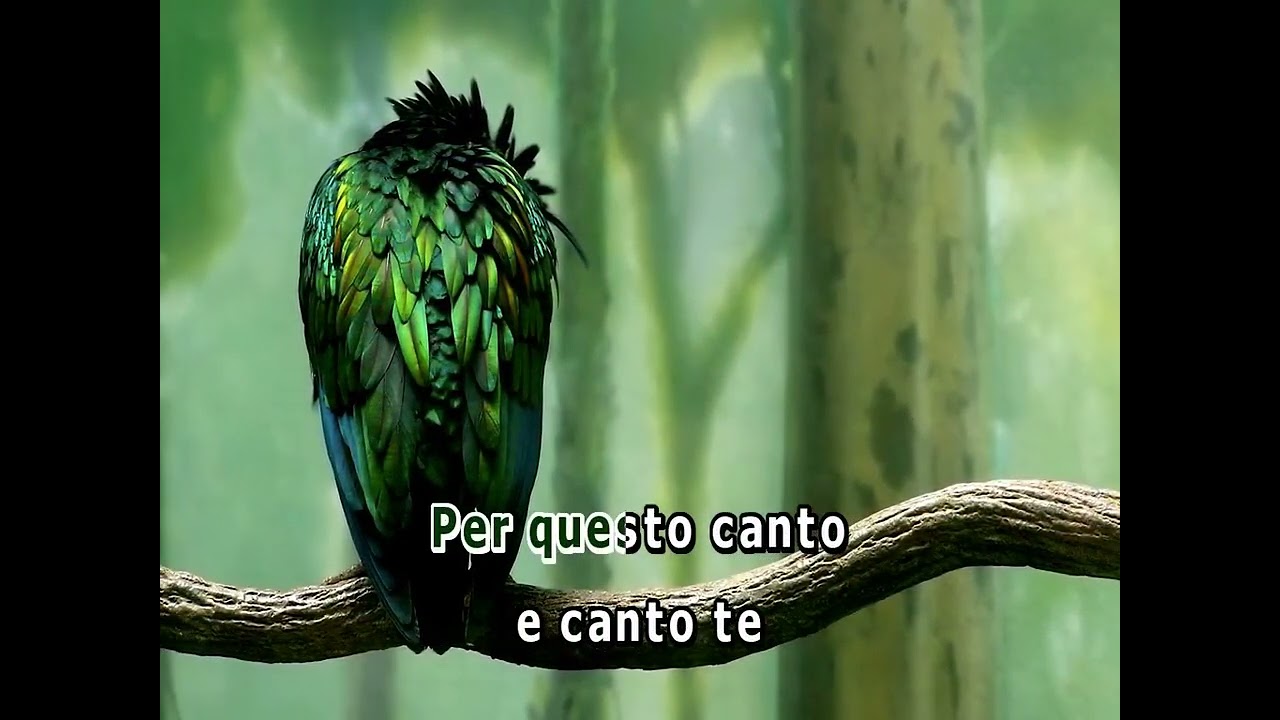 07004 - Roberto Carlos - CANZONE PER TE -==Karaoke–Videoke  - Playback – Raf electronics