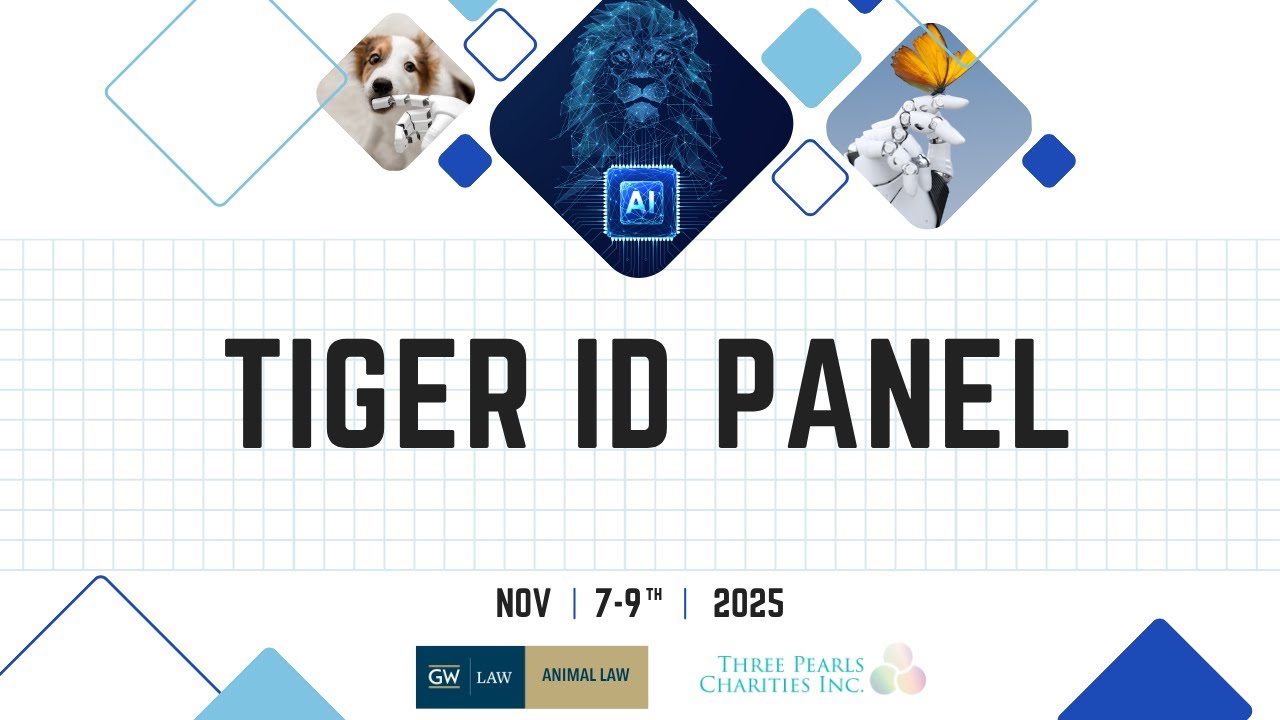 AI, Animals, and the Law: Tiger ID Panel
