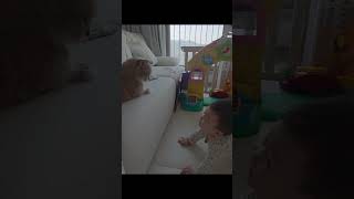 아기가 계속 다가가자… 결국 냥펀치 나왔습니다😳🐱 #7개월아기 #cats