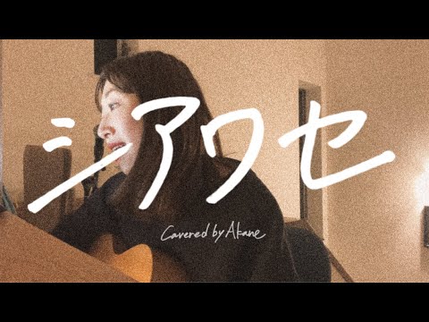シアワセ / aiko / Covered by Akane