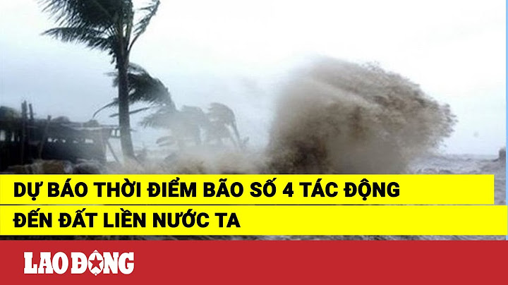 Bão số 4 trung tâm khí tượng thủy văn năm 2024