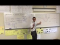 Polynomial Functions and Their Properties