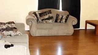 1260 Tara Ct video tour