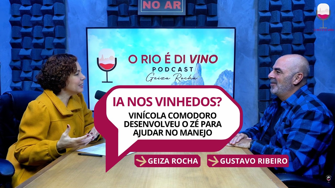 Vinícola Comodoro: 530 mudas plantadas debaixo de chuva e a decisão de fazer vinho com excelência