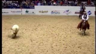 2000 NCHA Futurity Non-Pro