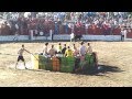 Toros verano sanjuan con piscina