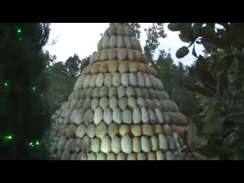 ١٣ نوفمبر ٢٠٢٠ 