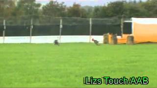 Gorey Coursing 2013
