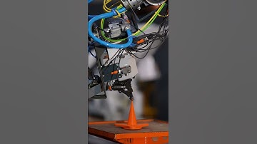 Programmed Different