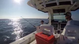 DAYTIME SWORDFISHING AND TILE FISHING MID ATLANTIC 8-20-16