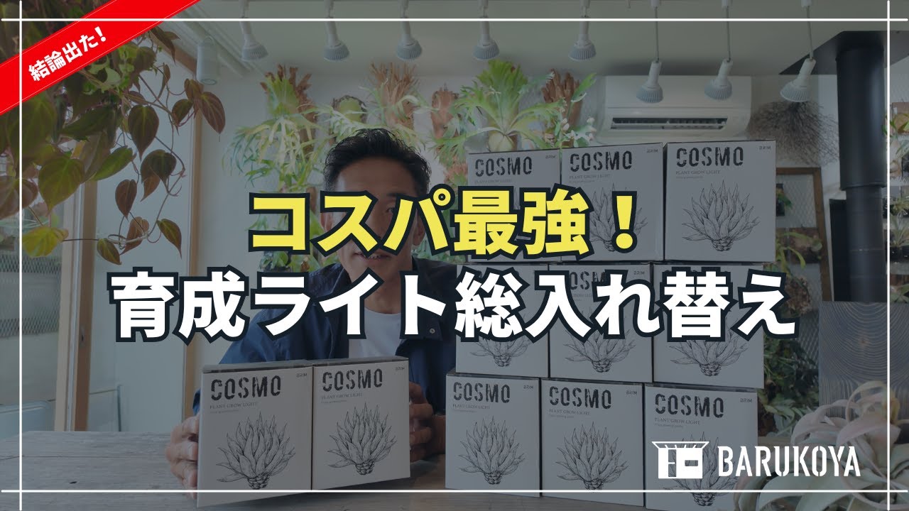 徹底比較して分かったコスパ最強育成ライトの条件とは