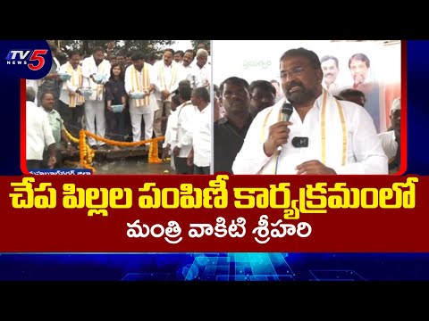 Minister Vakiti Srihari Paticpated  fish Distribution Program | Mahabubnagar District | TV5 News - TV5NEWS