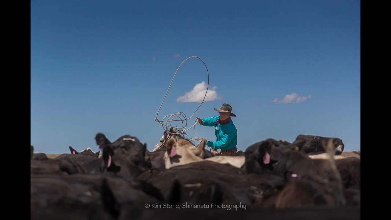 Martin Black Ranch School 2020