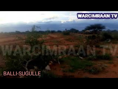 AMAANO OO QORAAL WADATA With Lyrics HEESTA HANUUNIYE IIMAANKU WAA SADE SAMIROOW KU AAMINAY AJALEEY