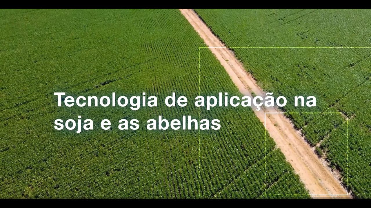 Tecnologia de aplicação na soja e as abelhas