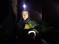 Вечерняя лёгкая прогулка.