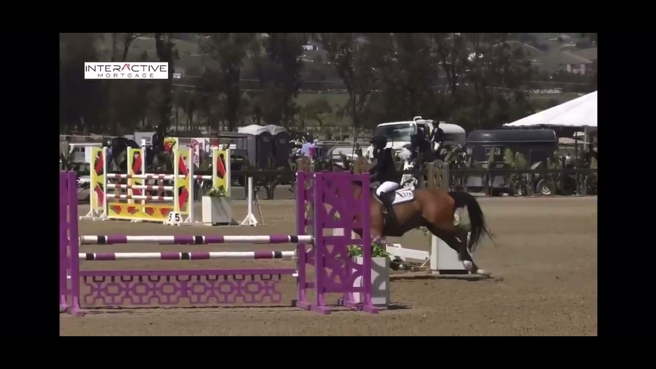 Children’s jumper classic 1.15 - catch ride -top placings - YouTube